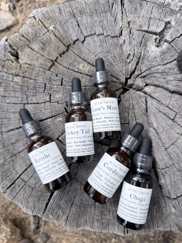 Altai Truth mushroom tinctures on natural wood surface — Lion’s Mane, Reishi, Chaga, Cordyceps, Turkey Tail wellness extracts.