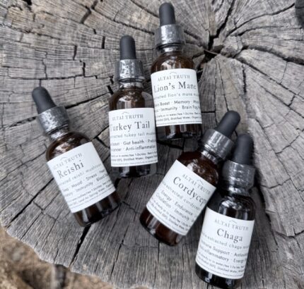 Altai Truth mushroom tinctures on natural wood surface — Lion’s Mane, Reishi, Chaga, Cordyceps, Turkey Tail wellness extracts.