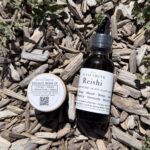 Shilajit resin sample with one mushroom tincture — beginner wellness bundle.