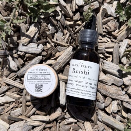 Shilajit resin sample with one mushroom tincture — beginner wellness bundle.