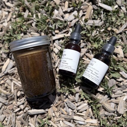 Shilajit honey blend with two mushroom tinctures — energy and immune support bundle.