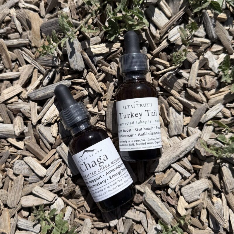 Turkey Tail and Chaga mushroom tincture bundle for immune support — small‑batch, full‑spectrum extracts